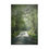 Thumbnail: Misty Morning Puzzle 