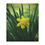 Thumbnail: Daffodil Minky Blanket 