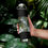 Thumbnail: Tree Leaves & Blue Sky Eco-Friendly Insulated Water Bottle