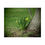 Thumbnail: Spring Daffodils Poster