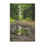Thumbnail: Forest Reflection Microfiber Blanket