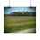 Thumbnail: Blooming Trees & Meadows Poster