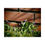 Thumbnail:  Springtime Violets Poster