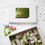 Thumbnail: Wild Pink Columbines Puzzle