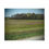Thumbnail: Blooming Trees & Meadows Puzzle
