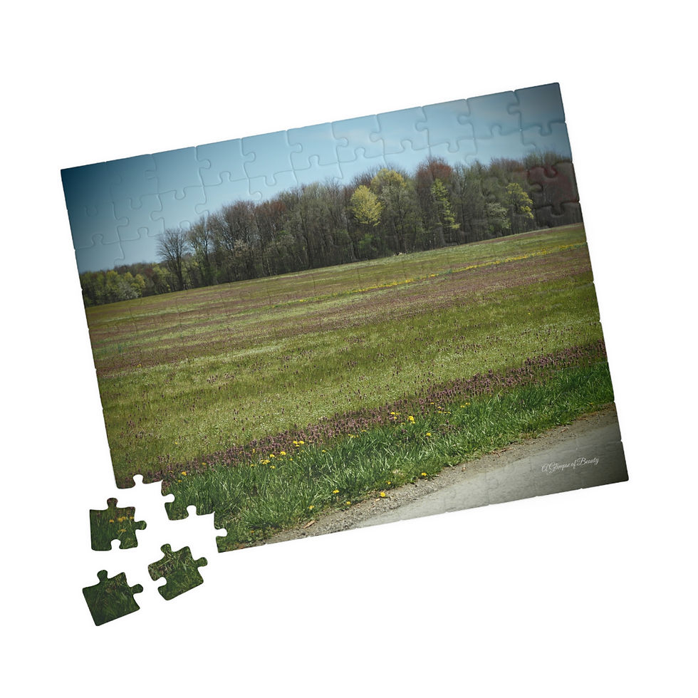 Blooming Trees & Meadows Puzzle