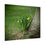 Thumbnail: Spring Daffodils Poster
