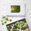 Thumbnail: Wild Pink Columbines Puzzle