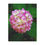 Thumbnail: Pink Hydrangea Microfiber Blanket