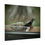 Thumbnail: Downy Woodpecker Poster