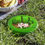 Thumbnail: Wham-o Nature Photo Frisbee