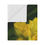 Thumbnail: Detailed Daffodil Minky Blanket 