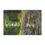 Thumbnail: Forest Reflection Microfiber Blanket