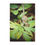 Thumbnail: Swirly Snail Minky Blanket 