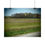 Thumbnail: Blooming Trees & Meadows Poster