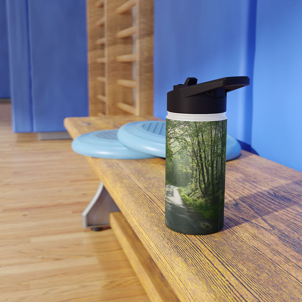 Misty Morning Stainless Steel Water Bottle