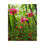 Thumbnail: Wild Pink Columbines Puzzle