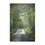 Thumbnail: Misty Morning Minky Blanket