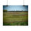 Thumbnail: Purple Spring Meadows Poster