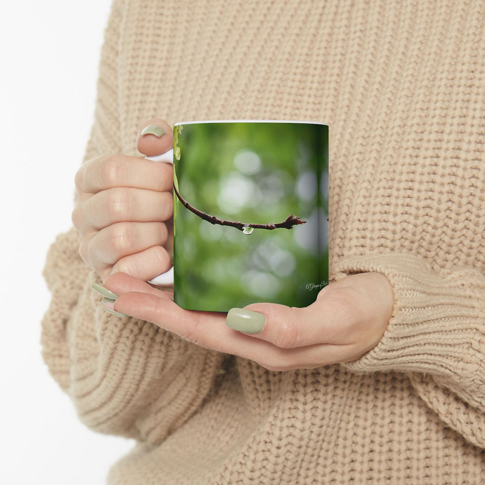 Water Drop on A Maple Twig Ceramic Mug 