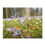 Thumbnail: Carpet of Bluets Puzzle