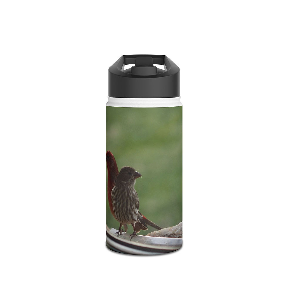 Purple Finch Pair Stainless Steel Water Bottle