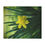 Thumbnail: Daffodil Minky Blanket 