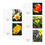 Thumbnail: Yellow Spring Flowers Blank Greeting Cards (5-Pack)