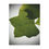 Thumbnail: Detailed Tulip Tree Leaf Minky Blanket