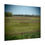 Thumbnail: Purple Spring Meadows Poster