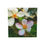 Thumbnail: Soft Blossoms Note Cube