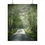 Thumbnail: Misty Morning Poster