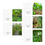Thumbnail: Green Nature Photo Blank Greeting Cards (5-Pack)
