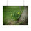 Thumbnail: Spring Daffodils Poster