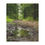 Thumbnail: Forest Reflection Microfiber Blanket
