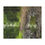 Thumbnail: Forest Reflection Microfiber Blanket