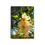 Thumbnail: Sunshine on Blossoms Spiral Notebook - Ruled Line