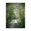 Thumbnail: Misty Morning Poster