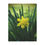 Thumbnail: Daffodil Minky Blanket 