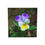 Thumbnail: Pansy Sticky Note Cube