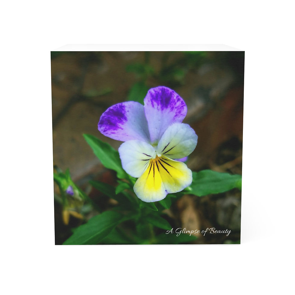 Pansy Sticky Note Cube