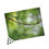 Thumbnail: Water Drop on A Maple Twig Puzzle