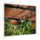 Thumbnail:  Springtime Violets Poster