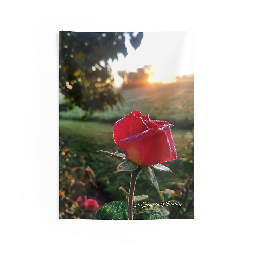 Dewy Rose at Sunrise Indoor Wall Tapestry