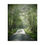 Thumbnail: Misty Morning Poster