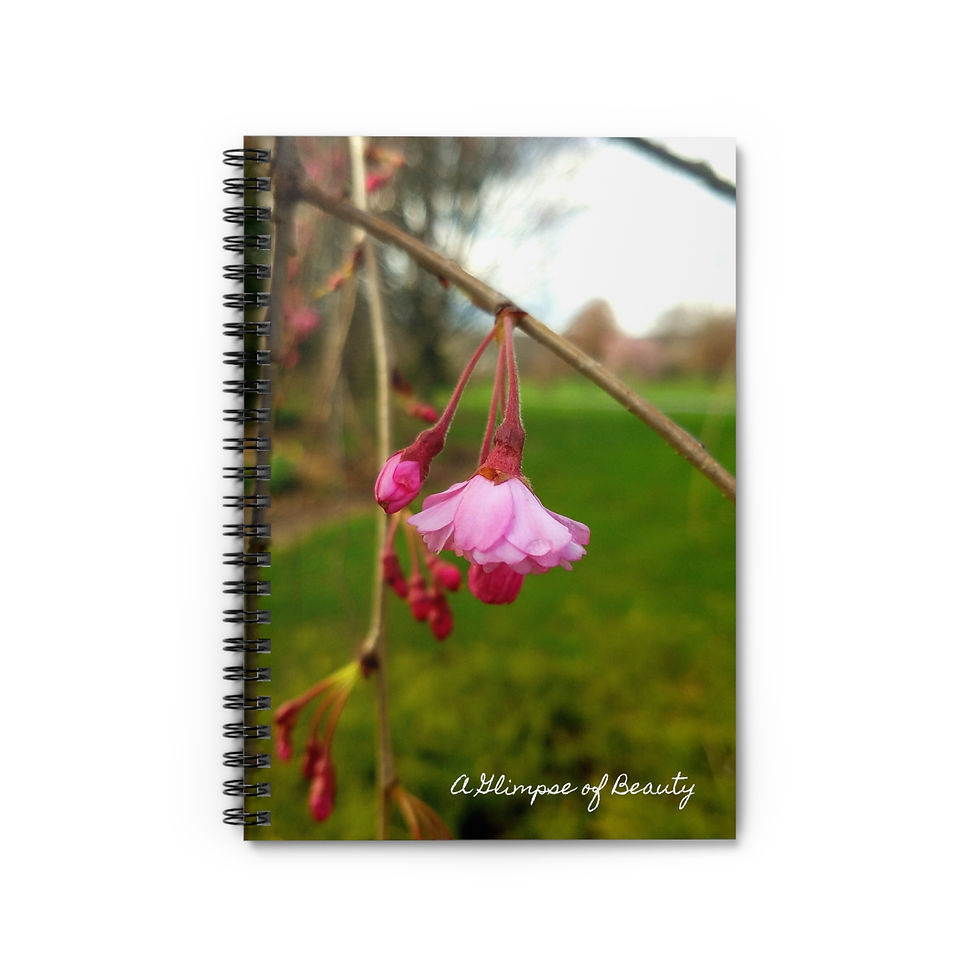 Rain Drop on Blossom Spiral Notebook - Ruled Line