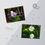 Thumbnail: Water on Plants Wall Calendar (2025) 