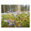 Thumbnail: Carpet of Bluets Puzzle