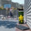 Thumbnail: Daffodil Stainless Steel Water Bottle