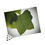 Thumbnail: Detailed Tulip Leaf Puzzle